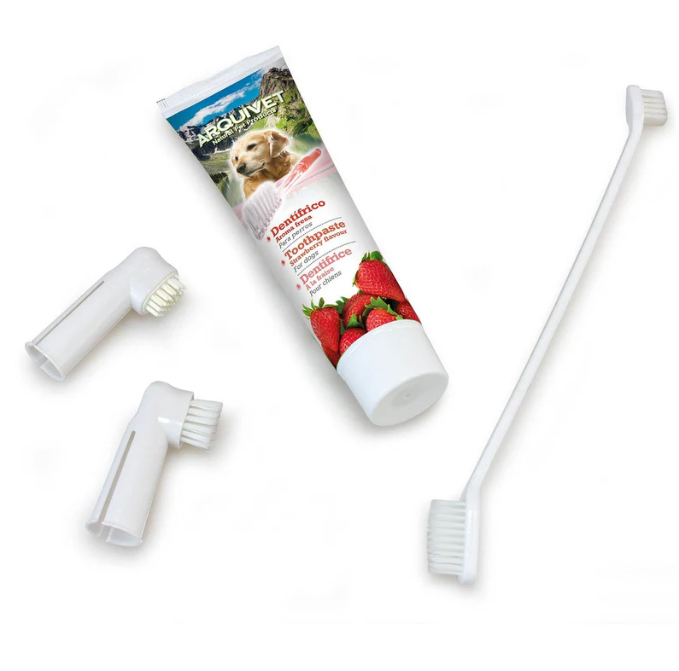 Dental Kit - Strawberry