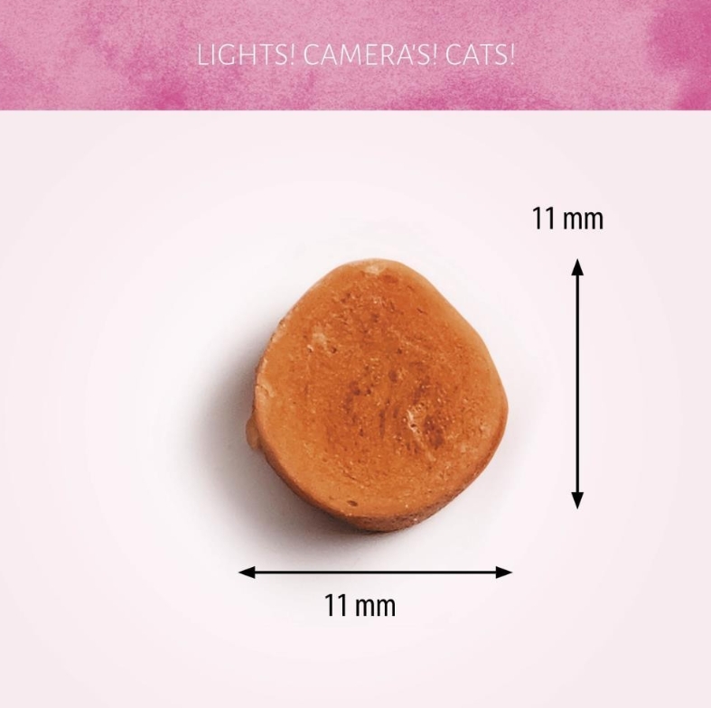 Cat Treats Steamed Shrimp 50g