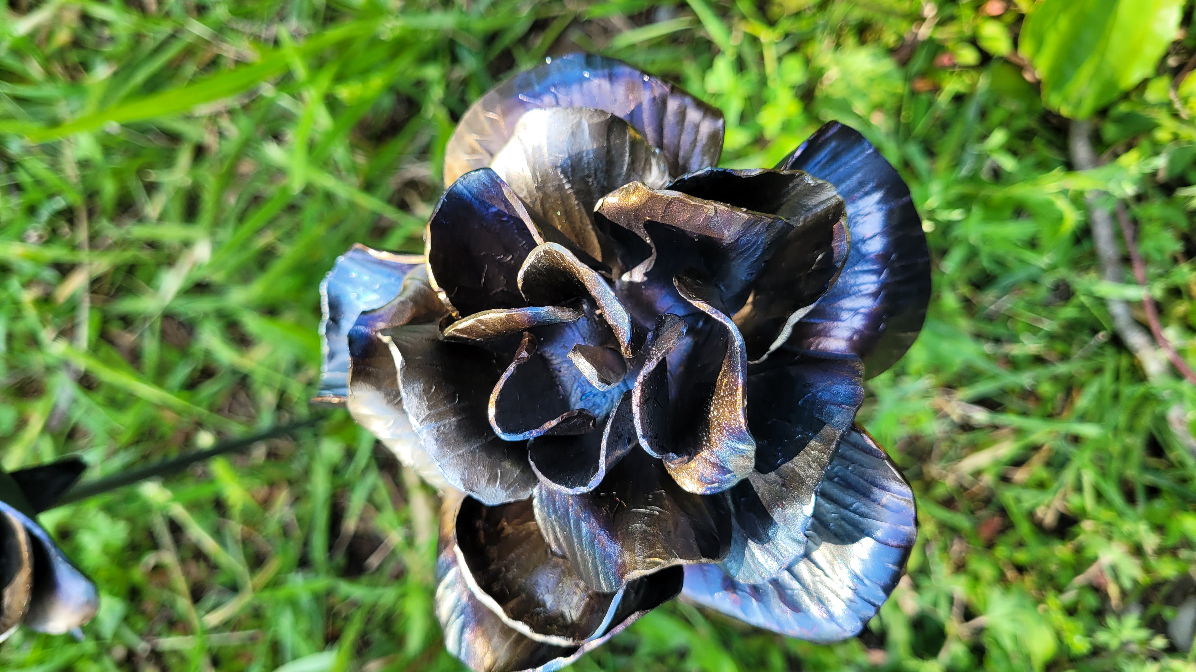 Forged Rose