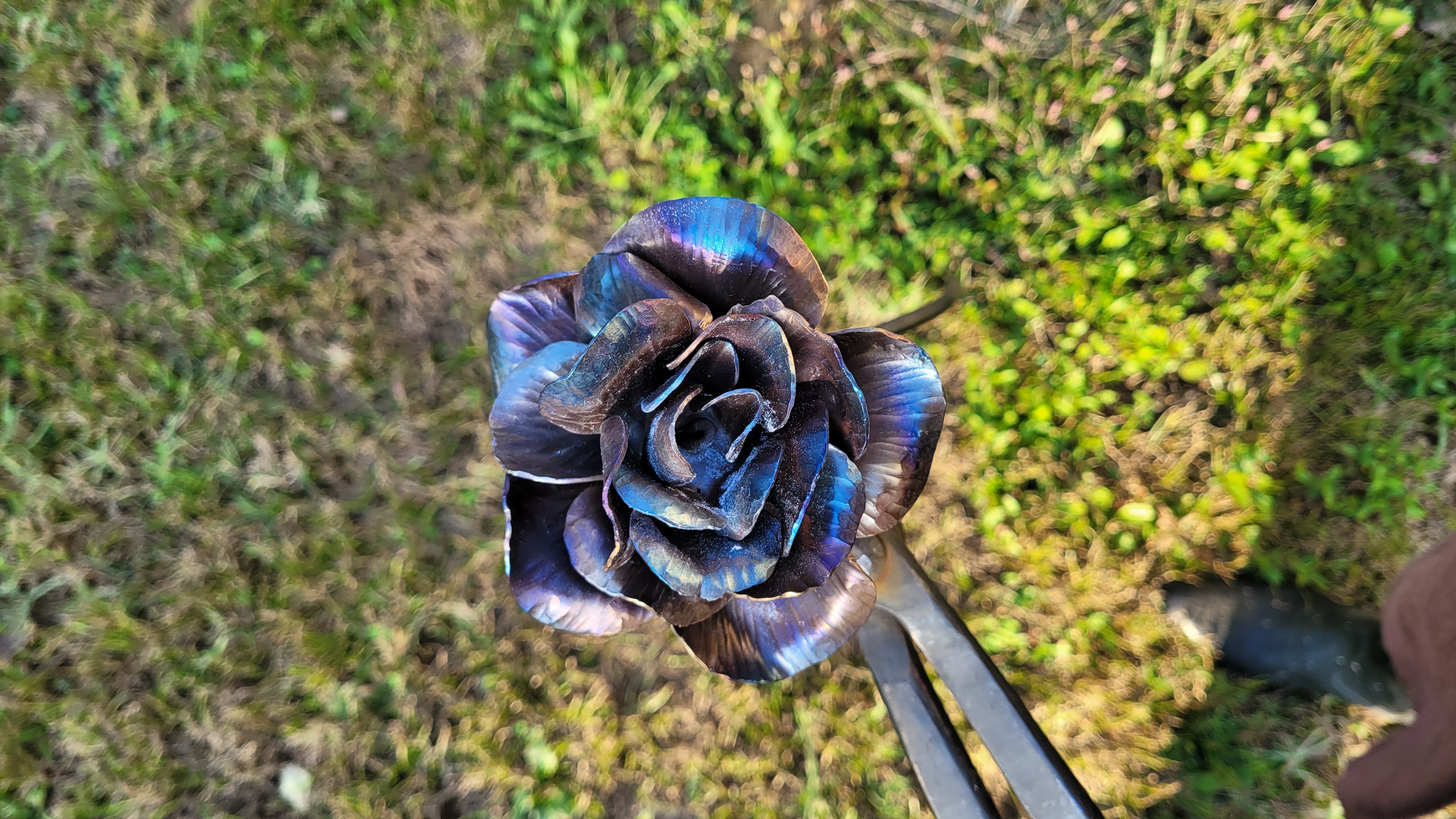 Forged Rose
