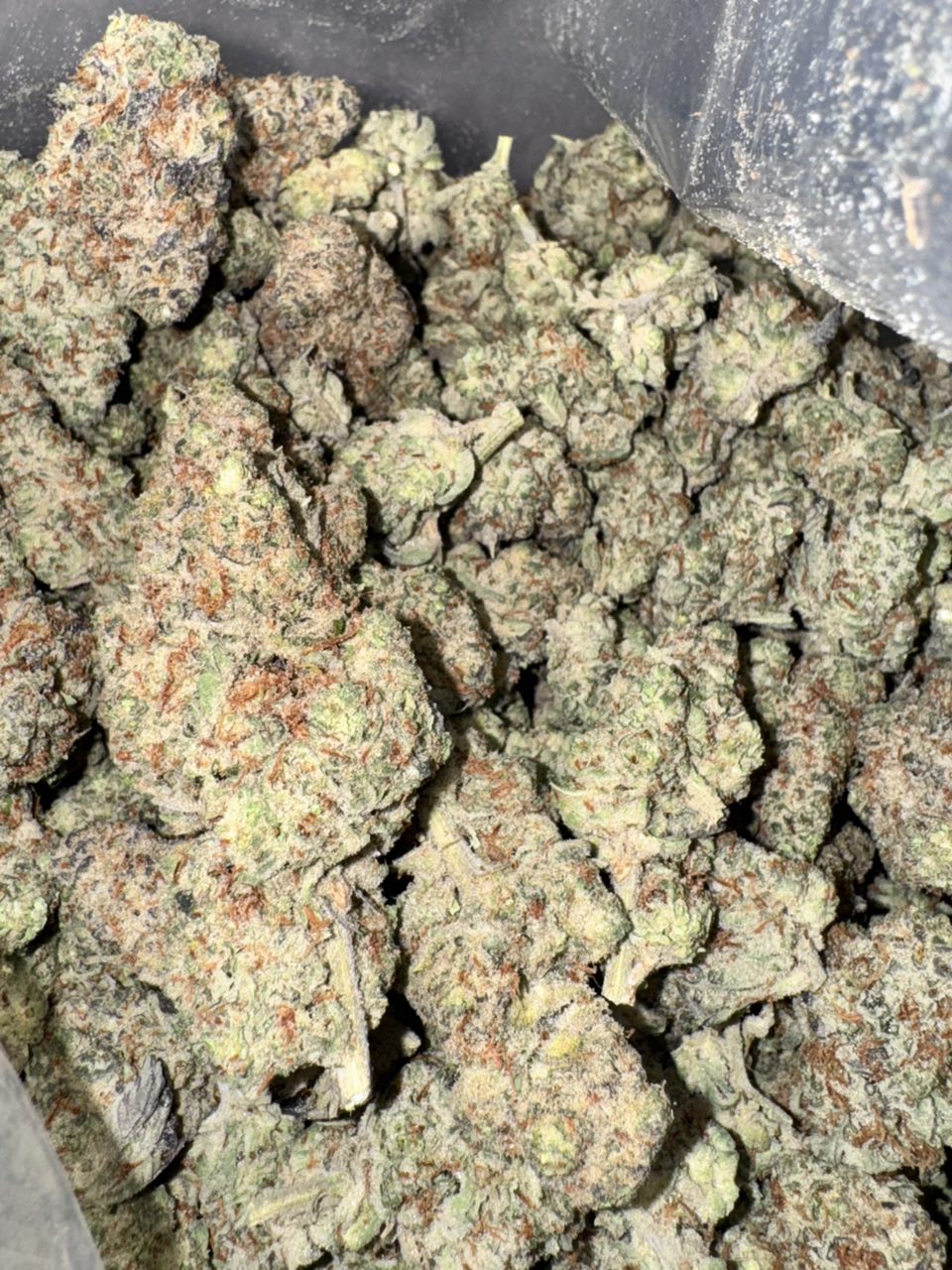 🇪🇸 TOPSHELF CALI SPAIN 🇪🇸 