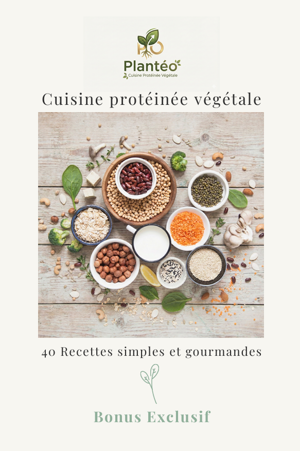 Plantéo La cuisine protéinée végétale