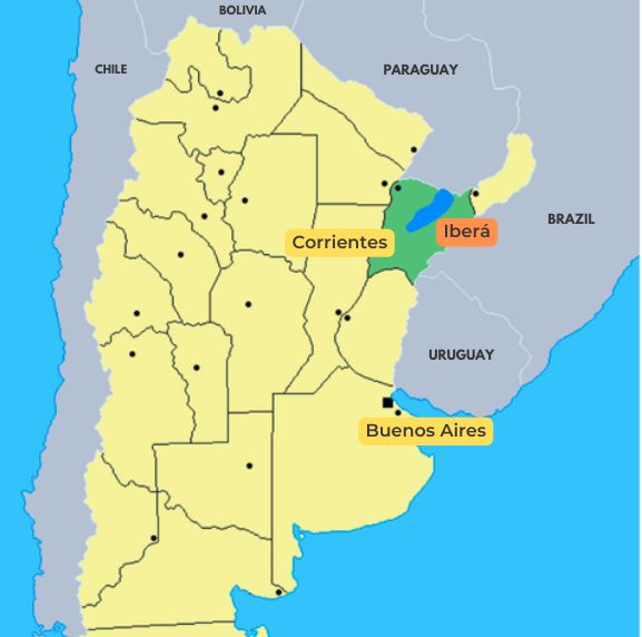 Jaguar in the Shadows