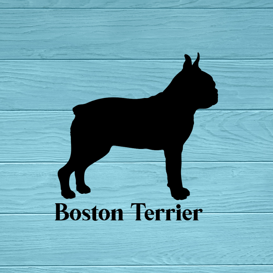 Boston Terrier Dog Decal