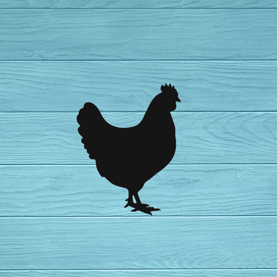 Chicken Decal | Sticker