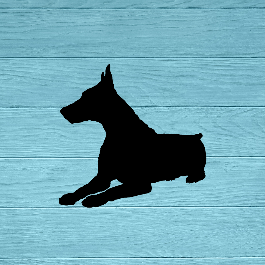 Doberman Dog Laying Down Decal