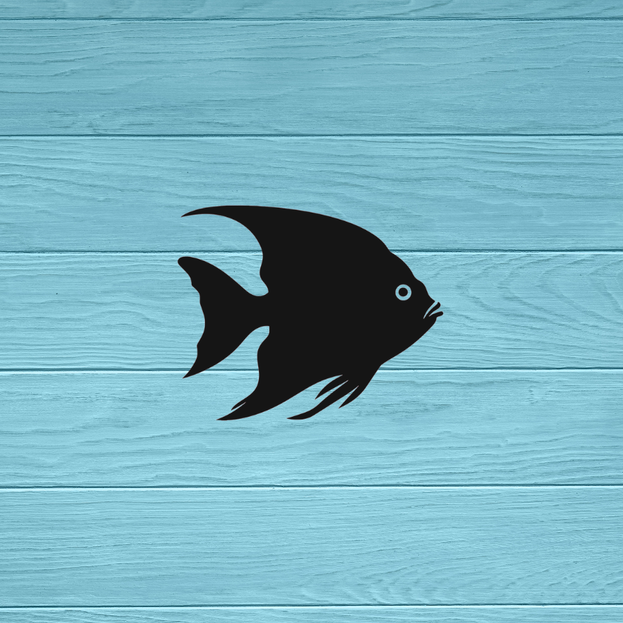 Angel Fish Decal | Sticker