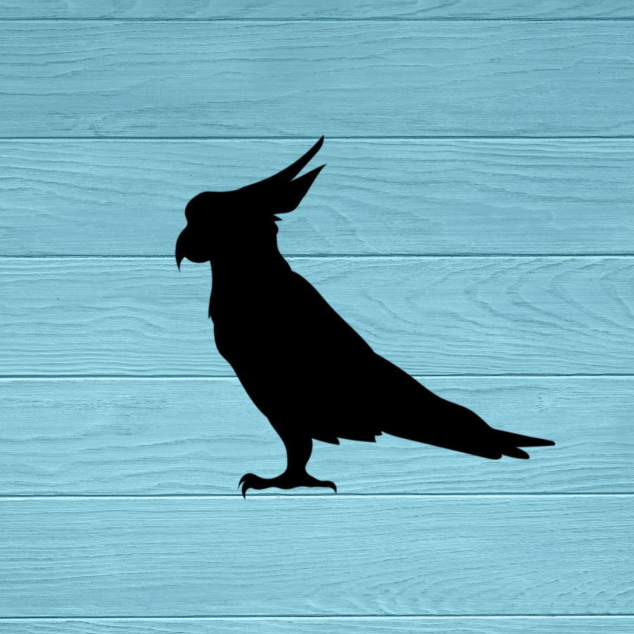 Parrot Decal | Sticker