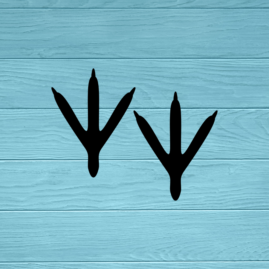 Bird Feet Decal | Sticker