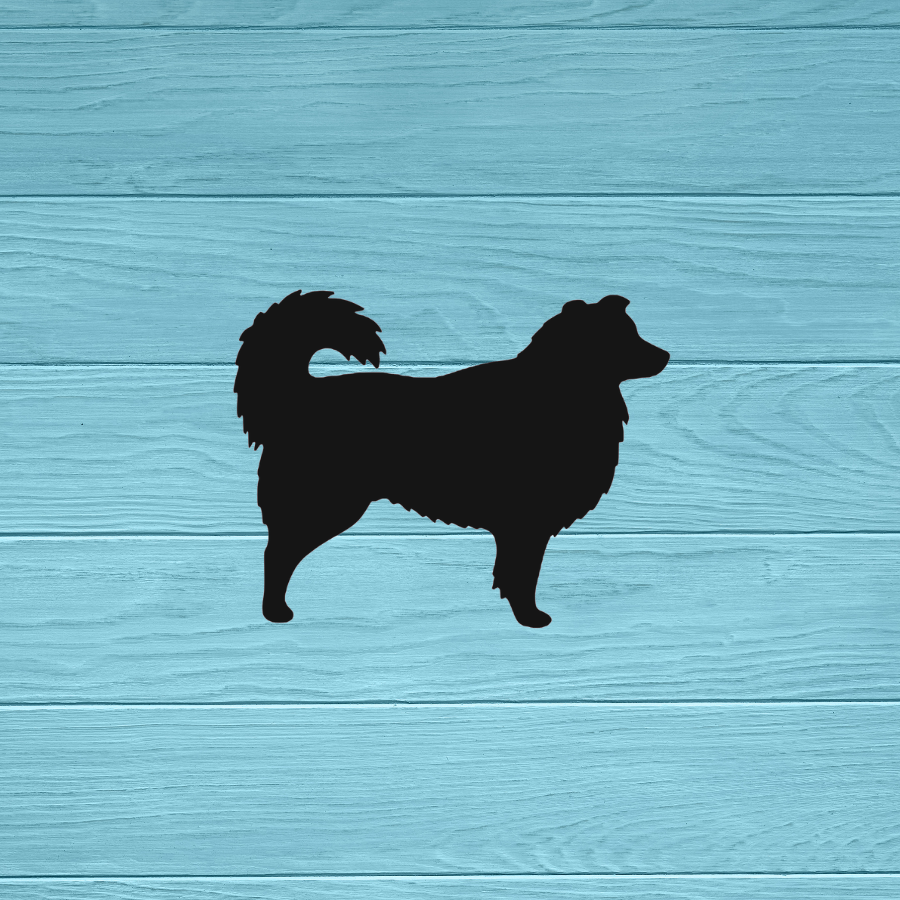 Australian Sheppard Dog Decal 