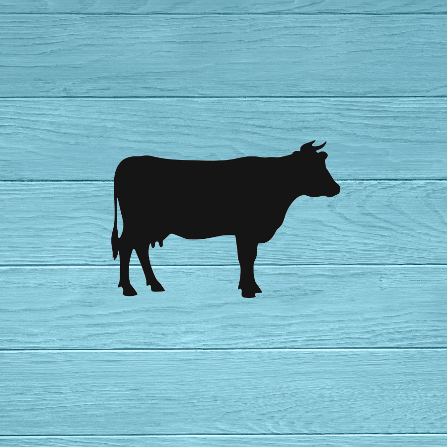 Cow Decal | Sticker