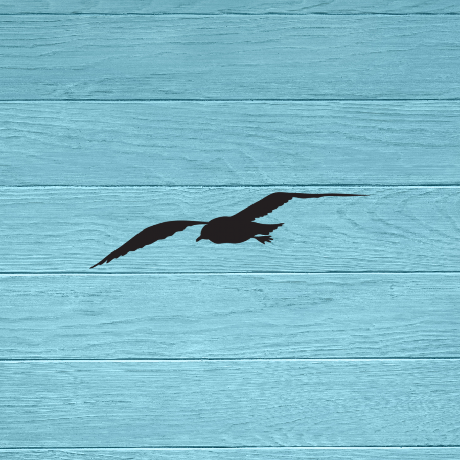 Seagull Decal | Sticker