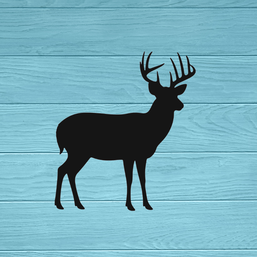 Deer Decal | Sticker