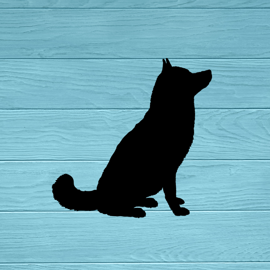Husky Dog Sitting Decal 