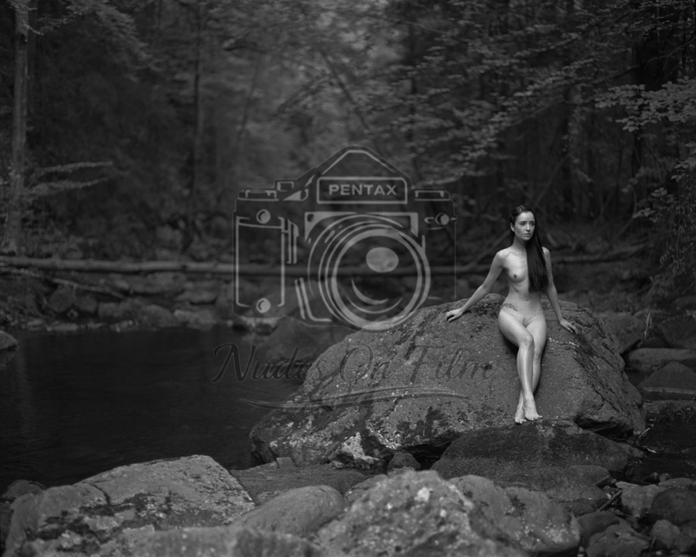 Waterfall in the woods #2