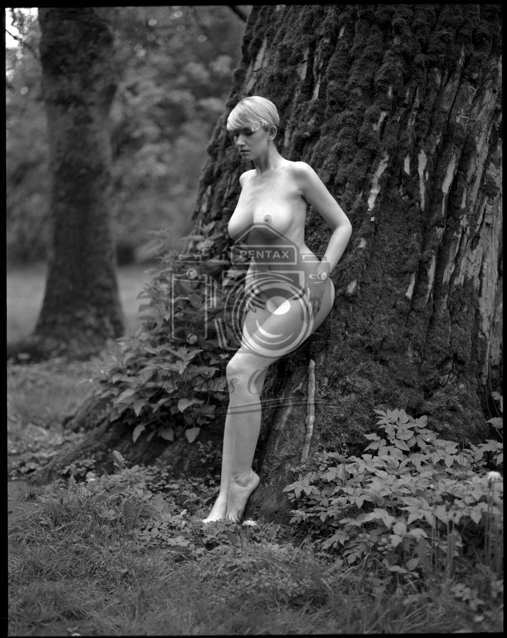 Alexandra in woods #3