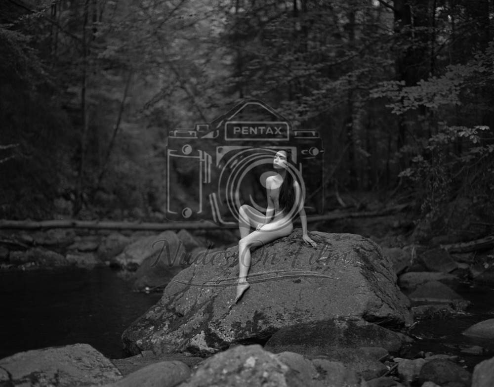 Waterfall in the woods #2