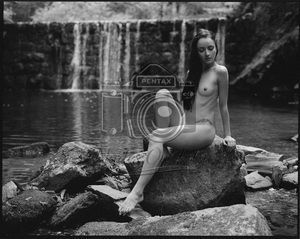 Waterfall in the woods