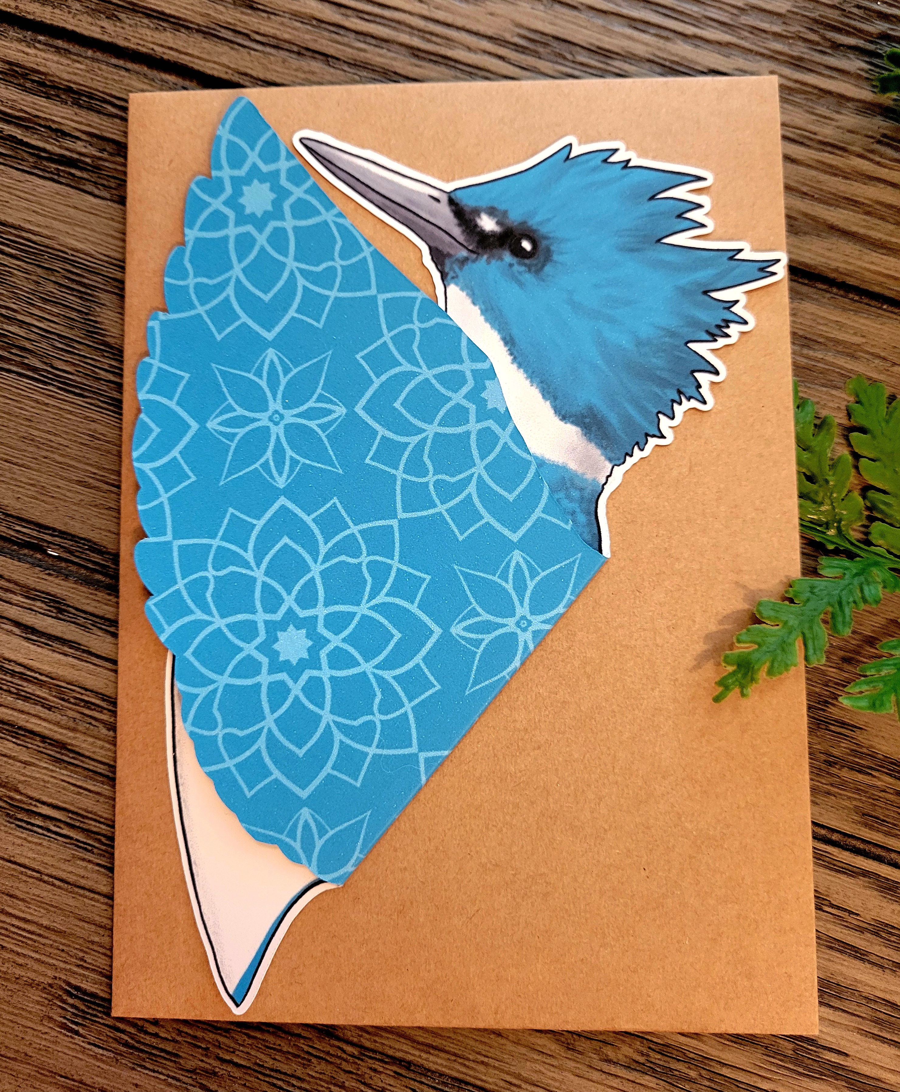 Belted Kingfisher cards, set of 2