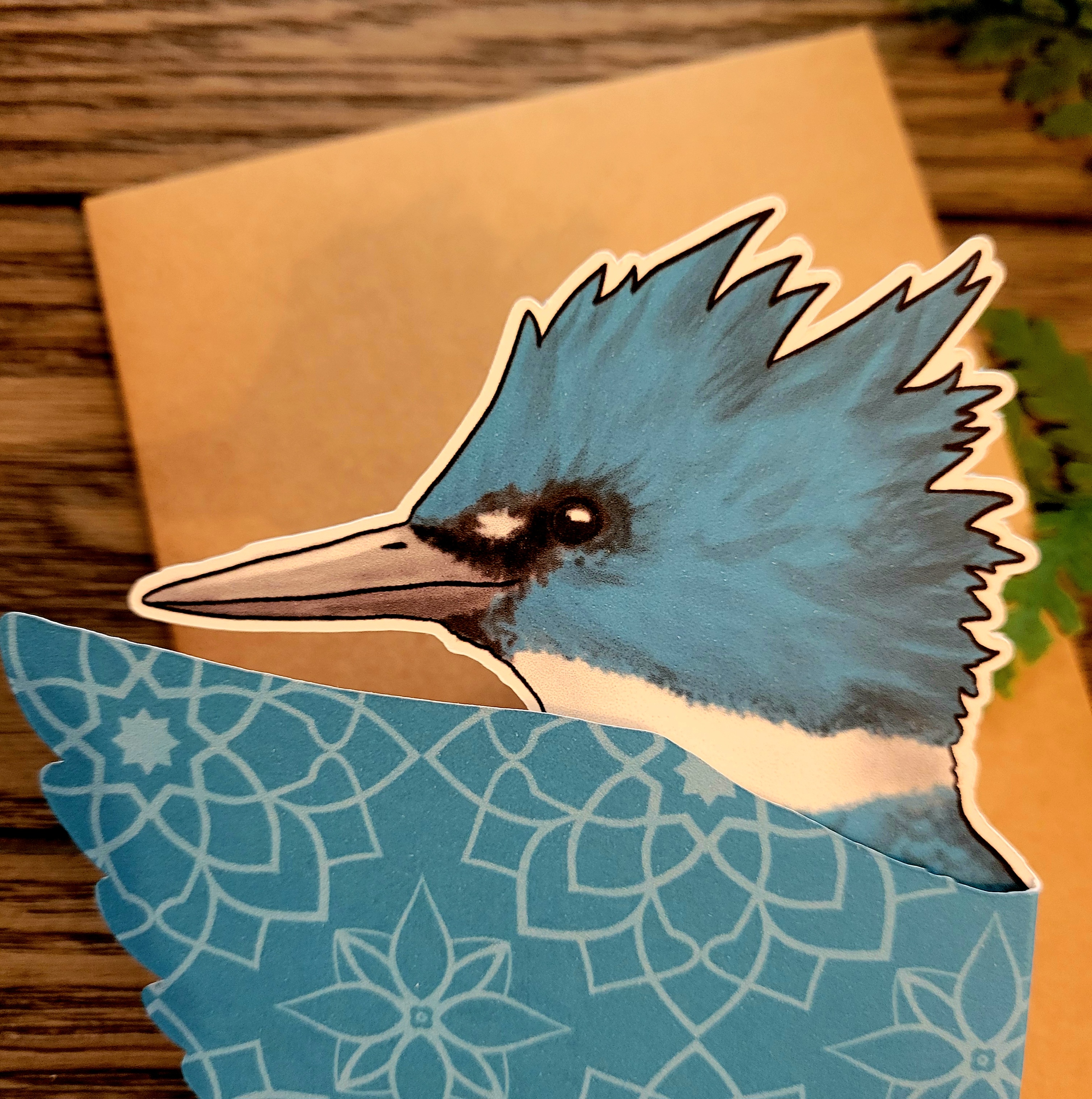 Belted Kingfisher cards, set of 2
