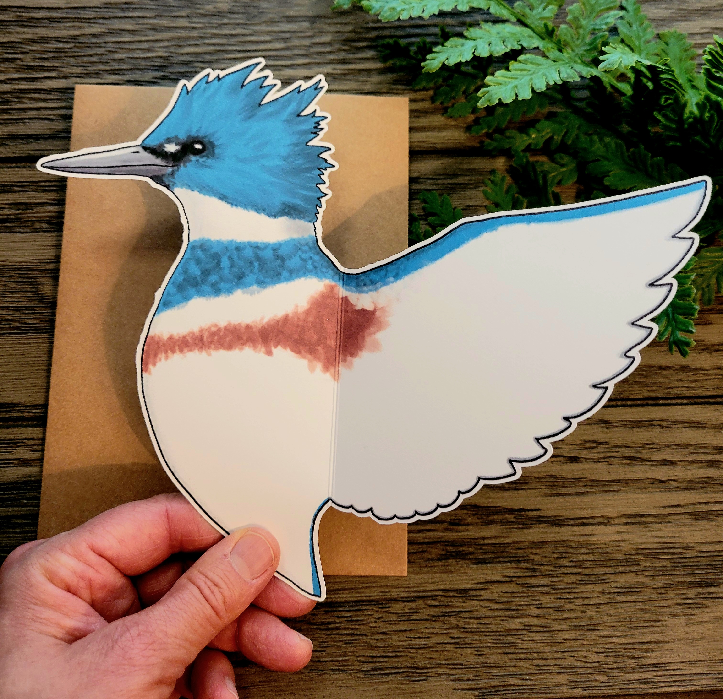 Belted Kingfisher cards, set of 2
