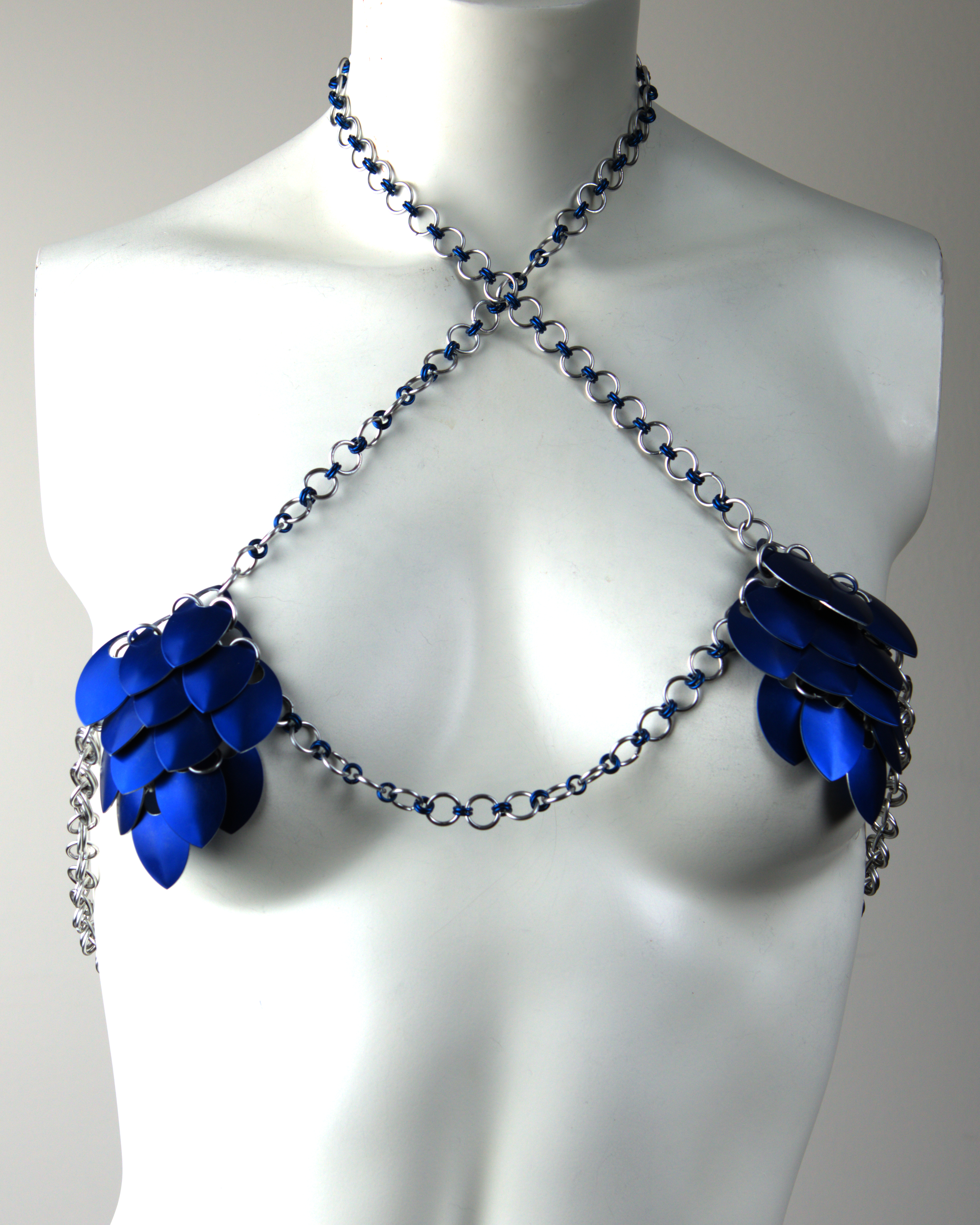 Standard Bikini Top - Large Scales