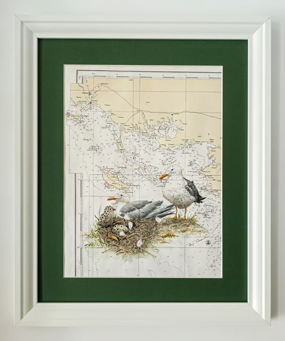 Cadre avec illustration d'oiseaux