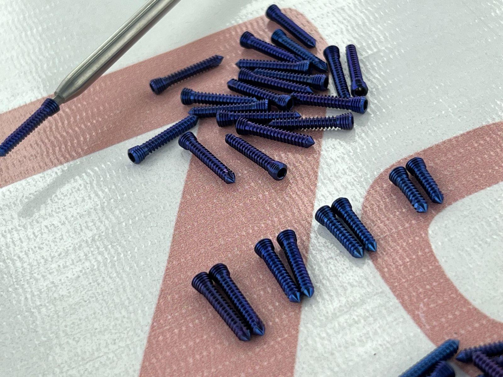 Hex Head 2.7mm Locking Screws 10-30mm Lenght Titanium 10 Pcs Each (111 Pcs)