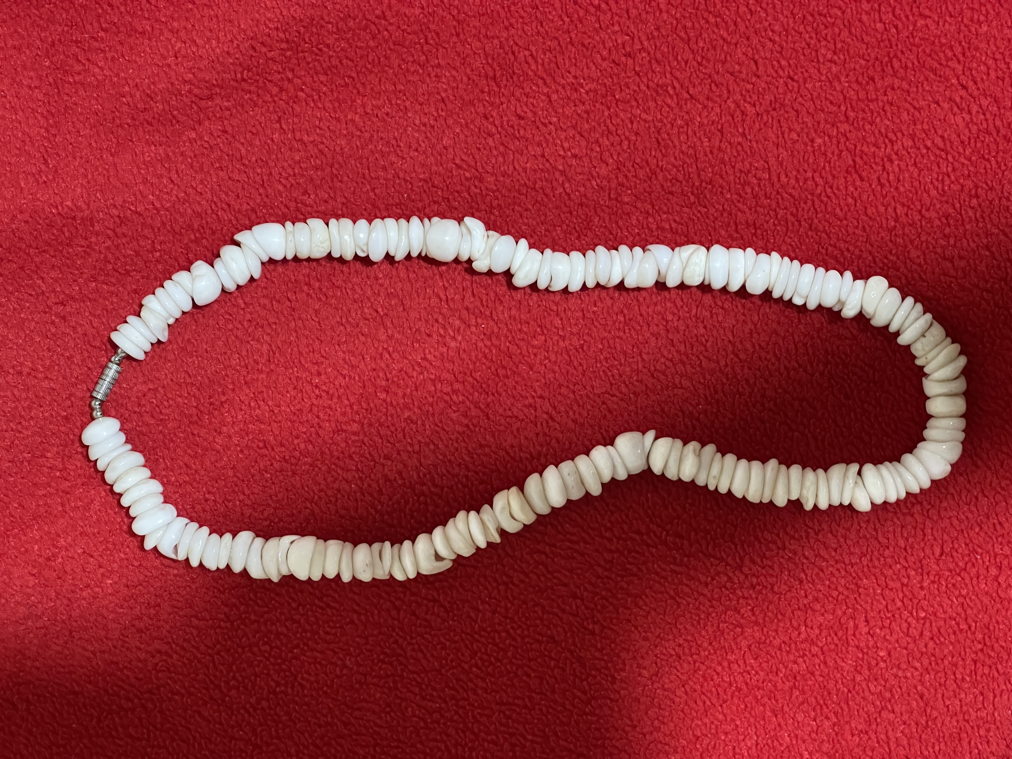 White Shell Necklace
