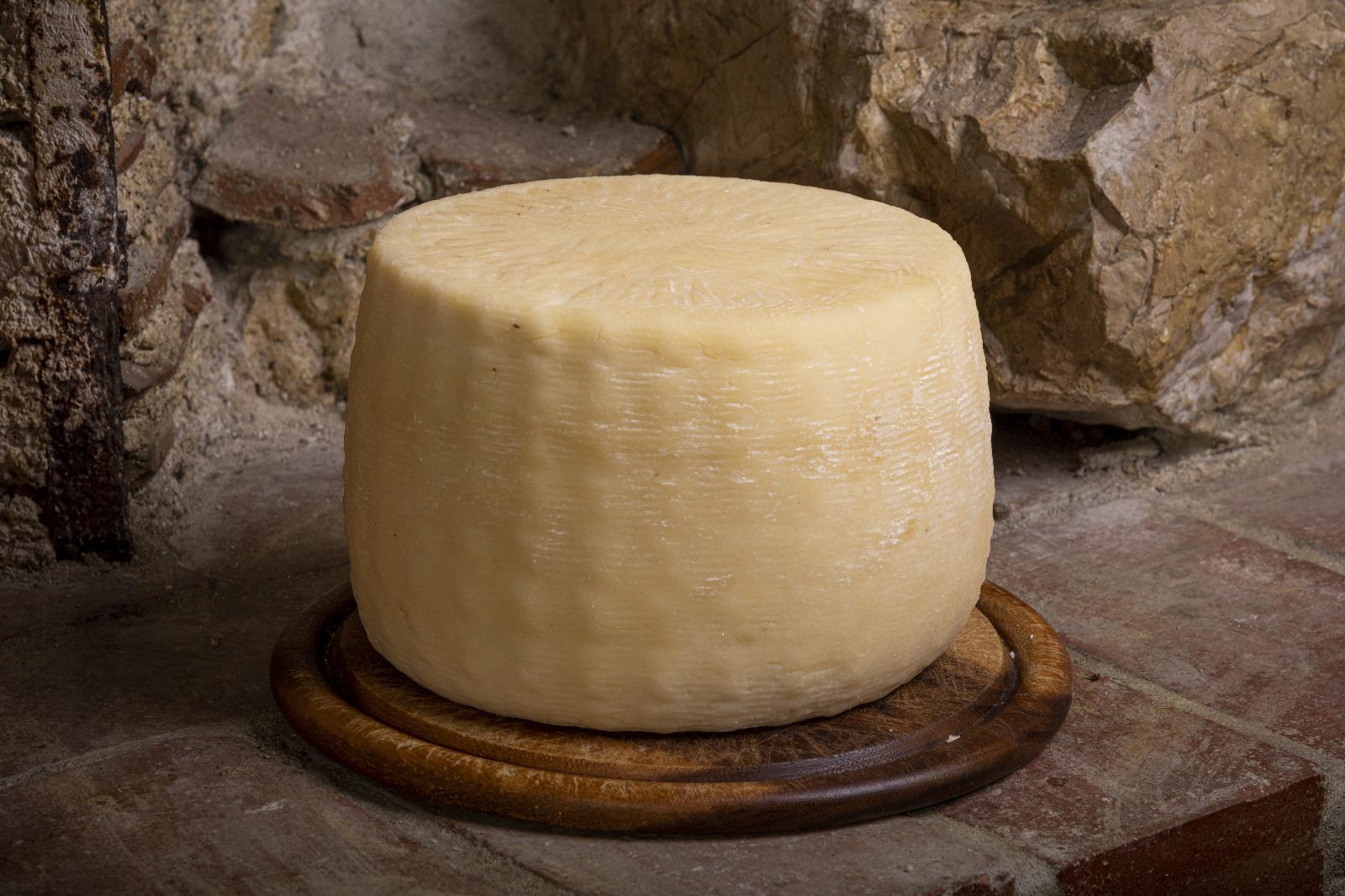 Pecorino Gregoriano