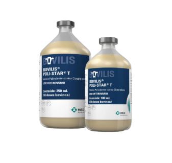 Vacina Bovilis Poli-Star T