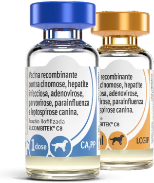 Vacina Recombinante Canina