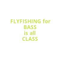 FlyFishing for BASS is all CLASS