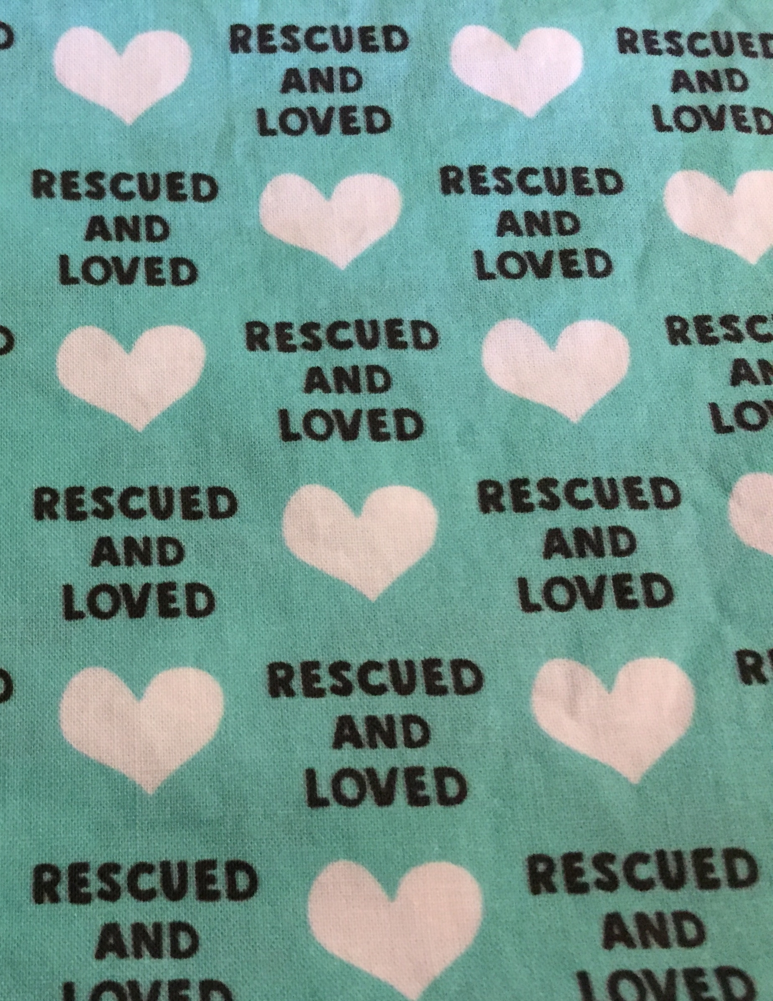 Rescued and Loved, Teal