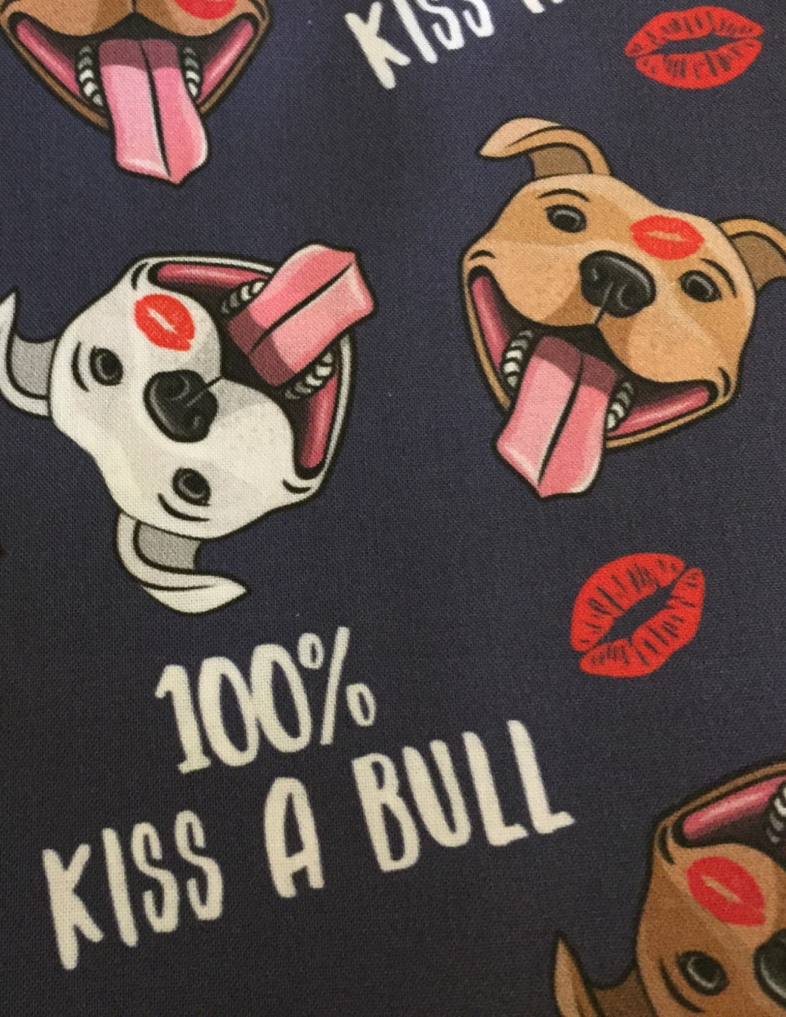 100% Kiss-a-Bull
