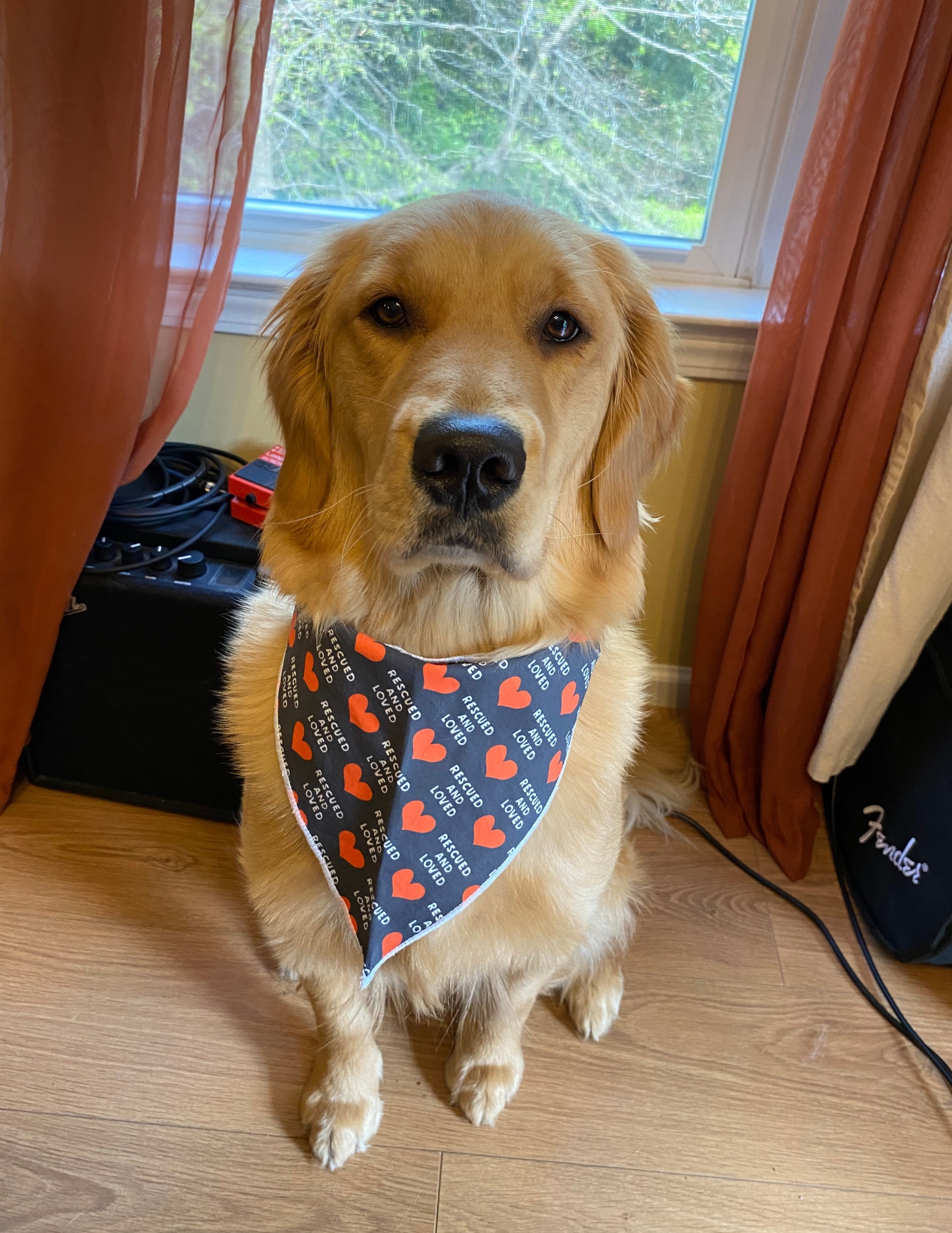 Rescued and Loved, Navy