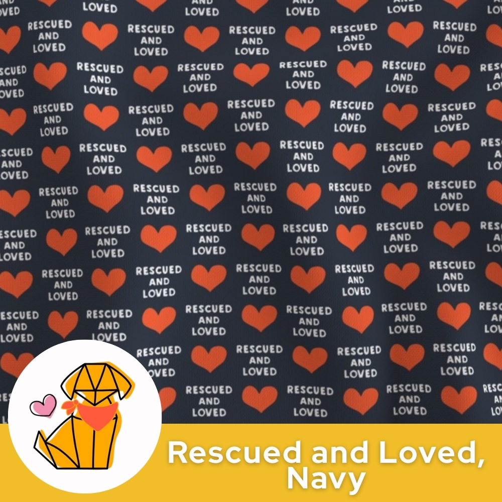 Rescued and Loved, Navy