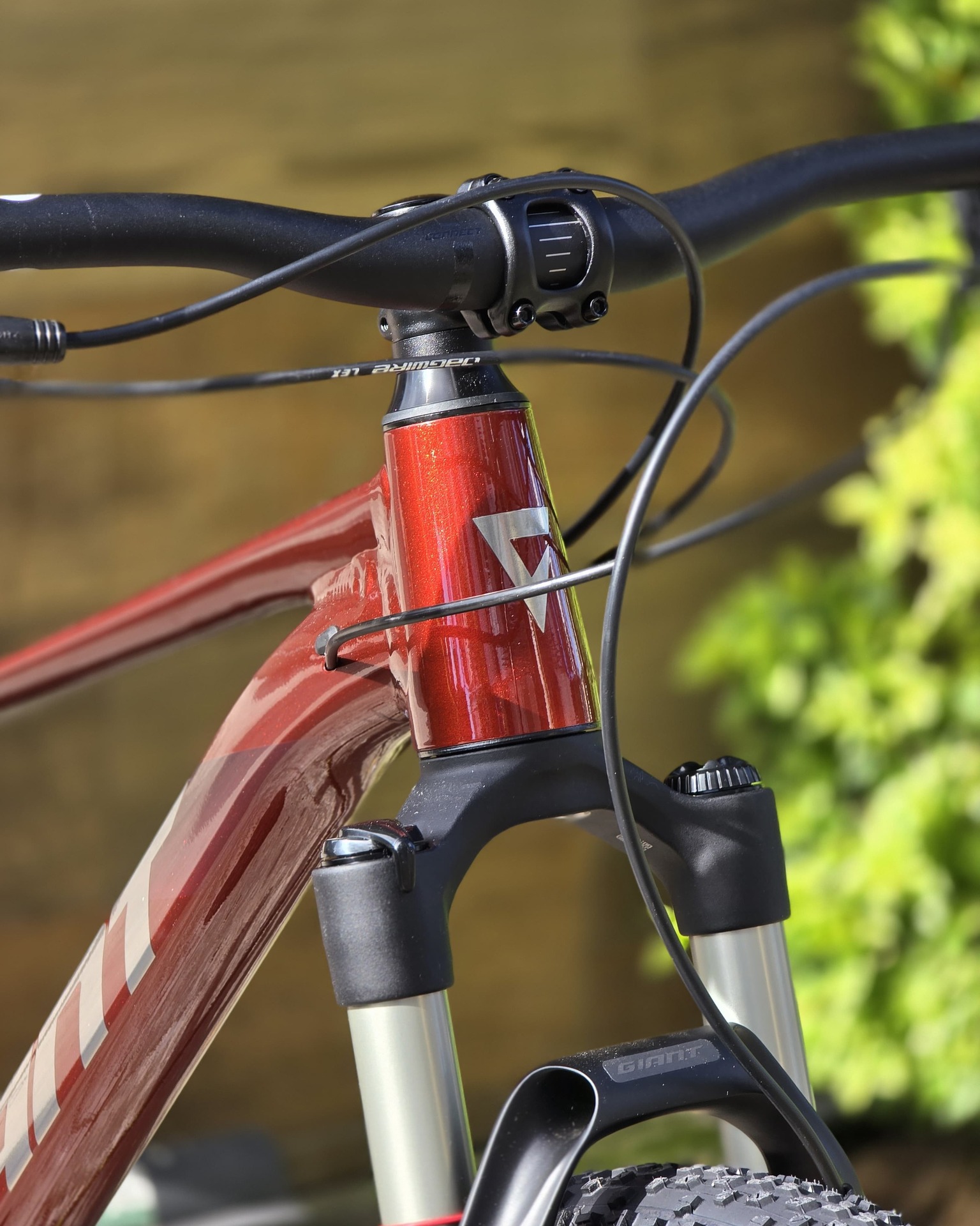 Bicicleta 29 Giant Talon 0