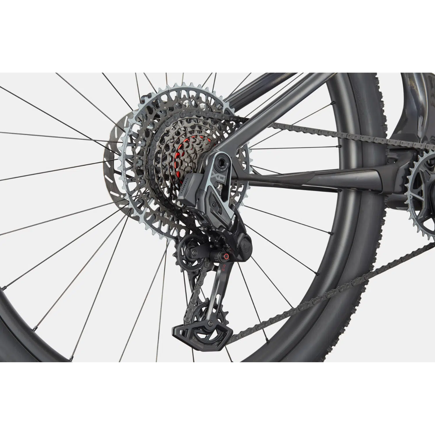 Bicicleta Mountain Bike 29 Cannondale Scalpel Carbon 1