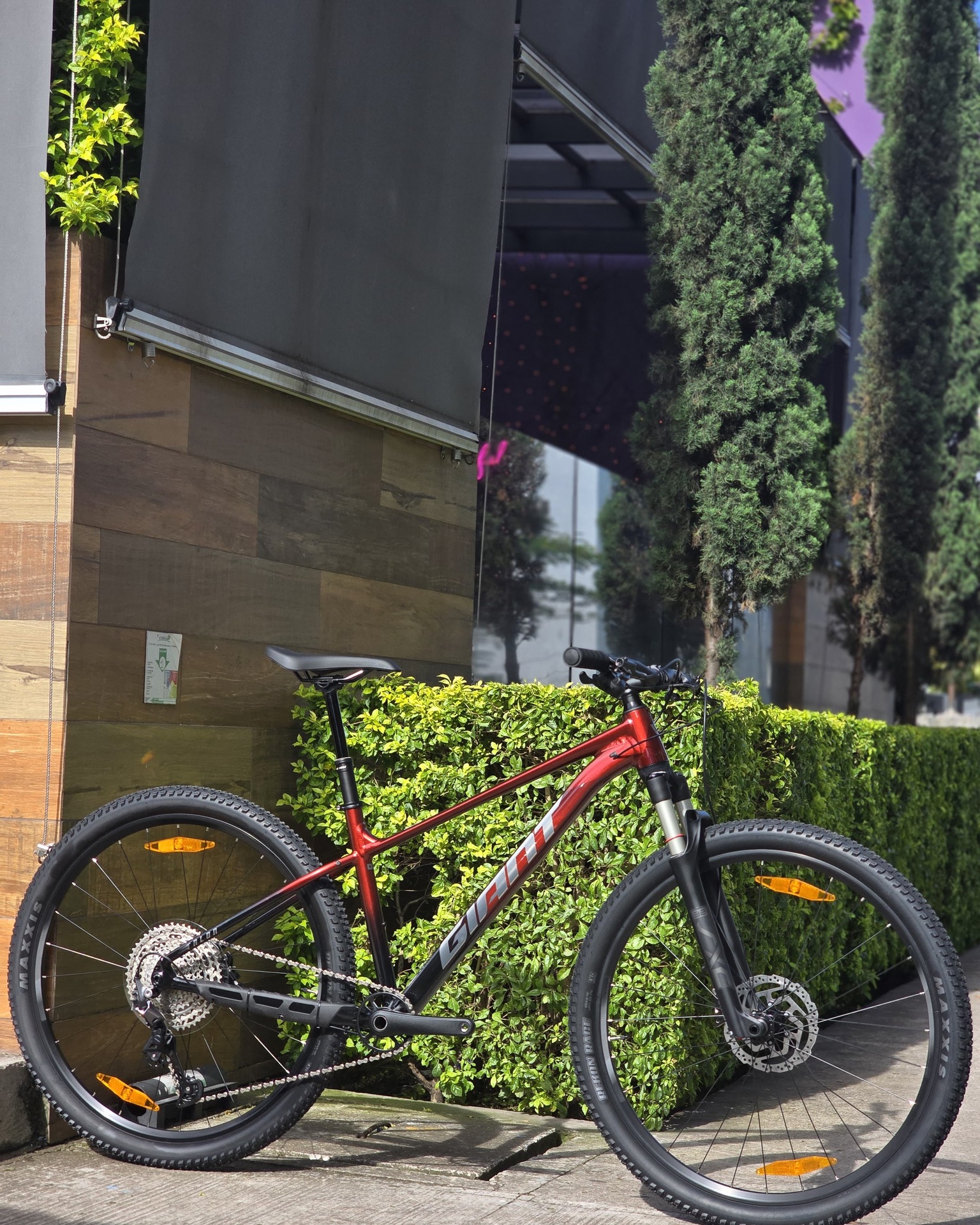 Bicicleta 29 Giant Talon 0