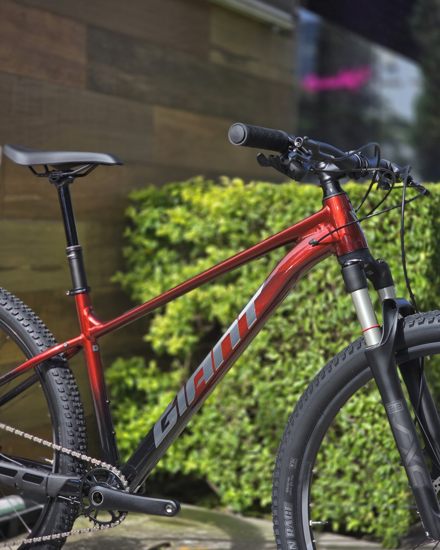 Bicicleta 29 Giant Talon 0