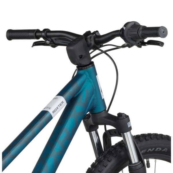 Bicicleta Infantil Montañera Scott Roxter 24 Verde 2026 