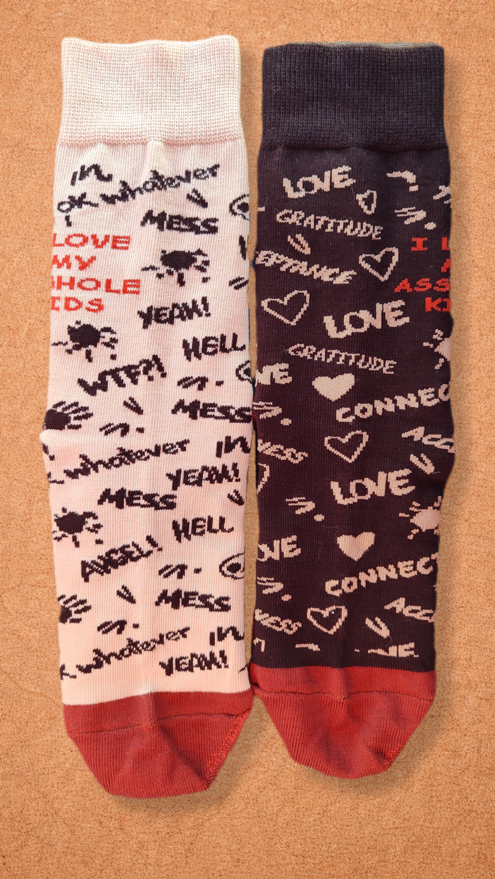 I Love My As**ole Kids