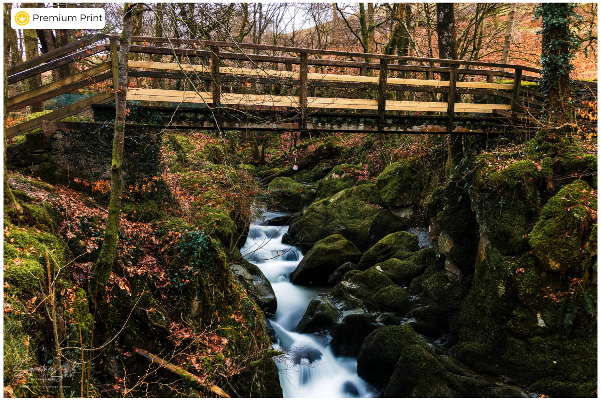 Stock Ghyll Force Woodland | Lake District Fine Art Print 