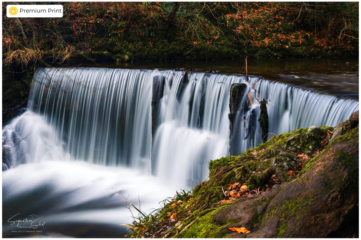 Stock Ghyll Force Woodland | Lake District Fine Art Print 
