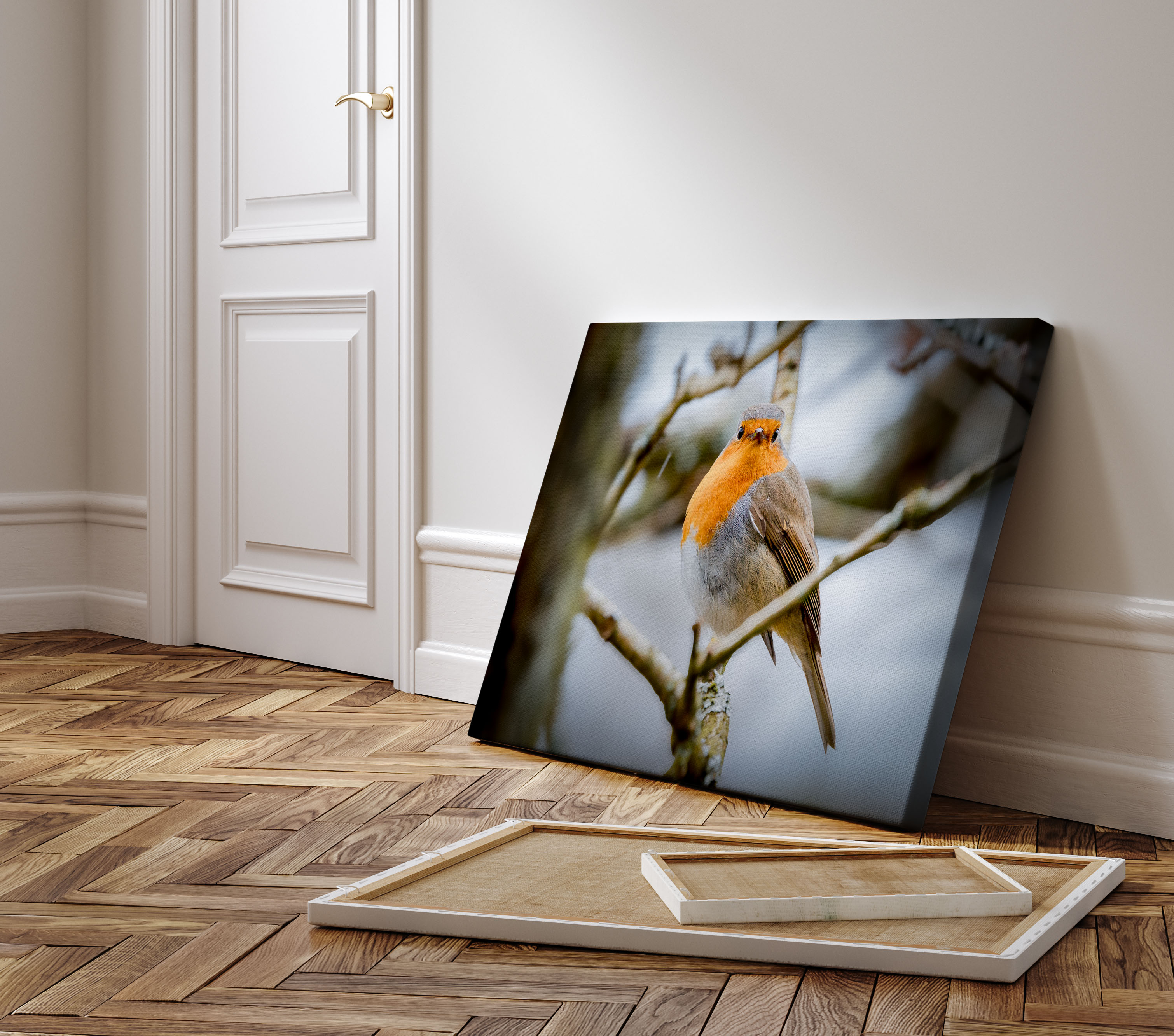 Robin Fine Art Collection – Timeless Wildlife Photography