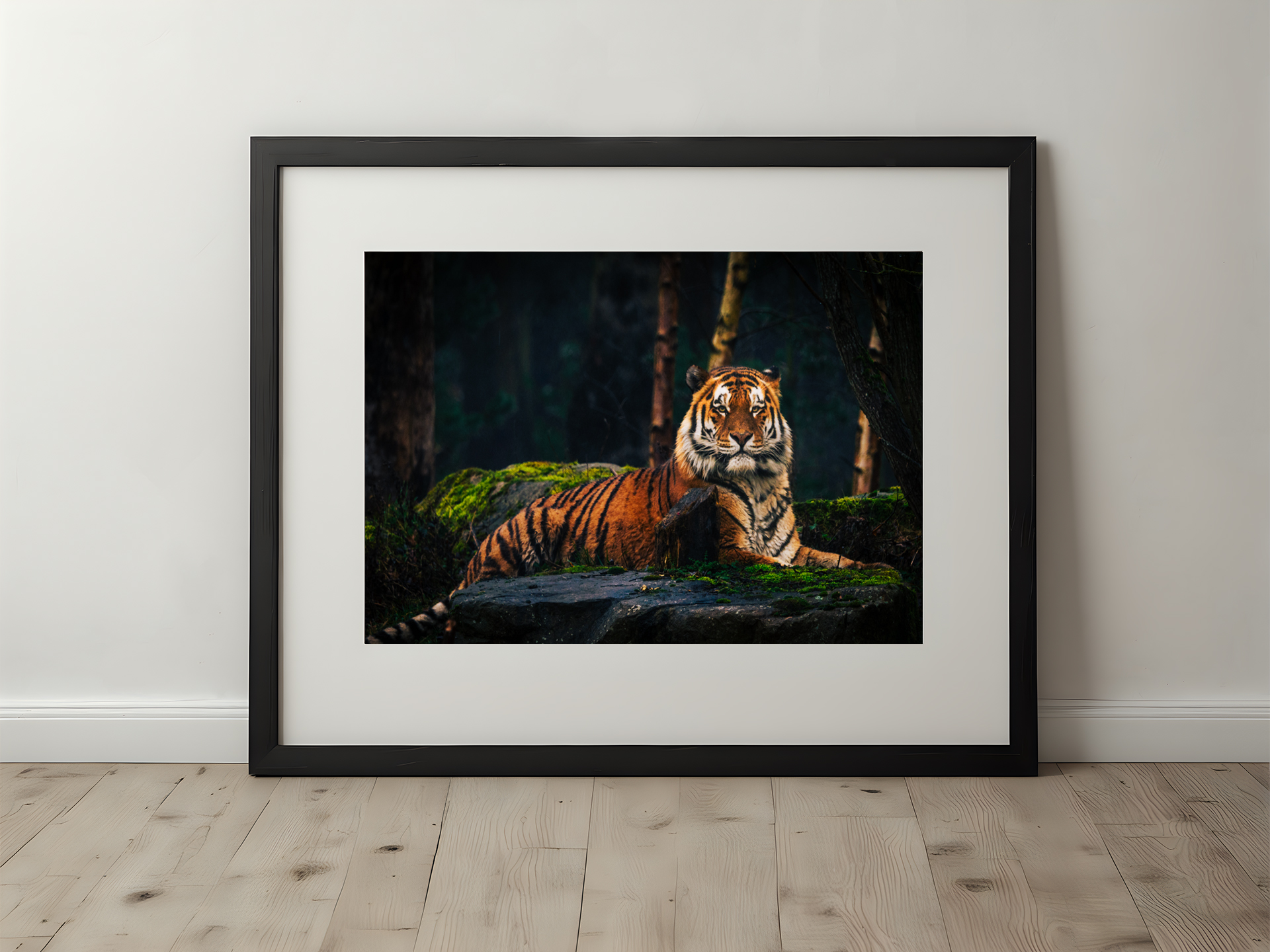 Majestic Amur Tiger Portrait | Premium Fine Art Photography Print