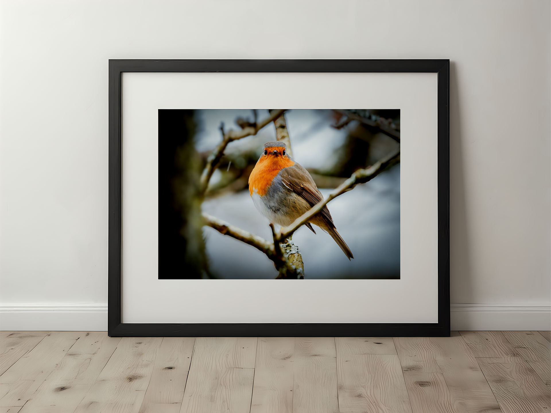 Robin Fine Art Collection – Timeless Wildlife Photography