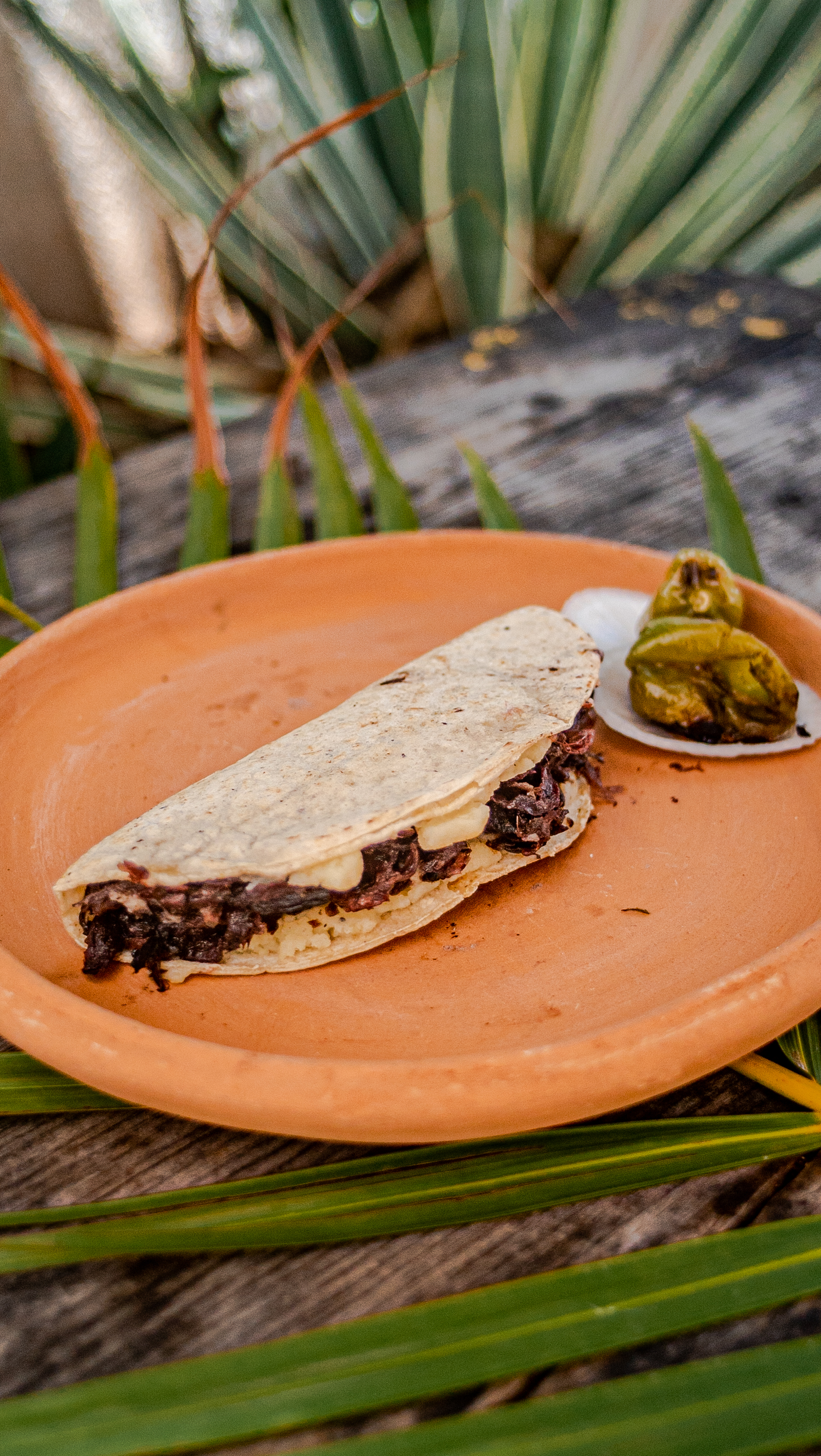Traditional Bean Quesadilla