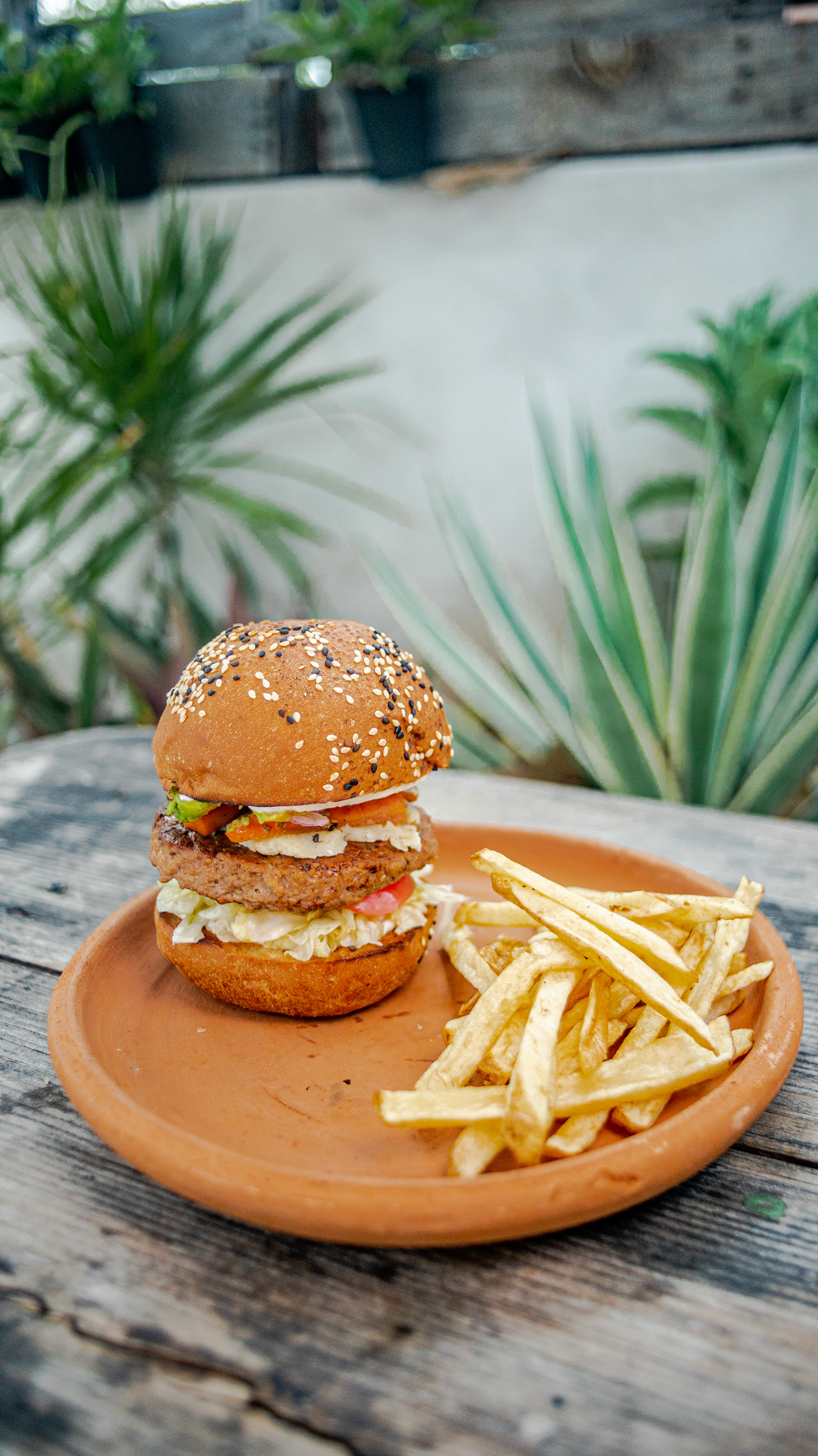 Gourmet Burger & Fries
